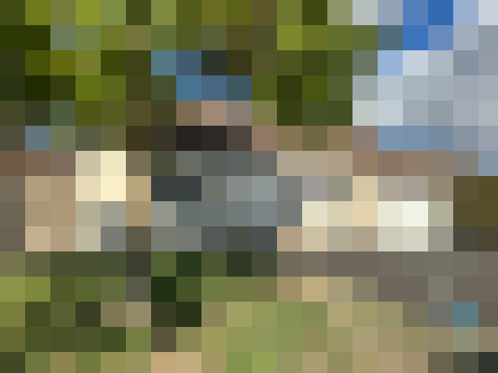  / #16