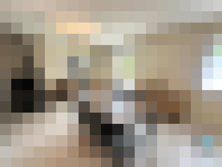  / #11