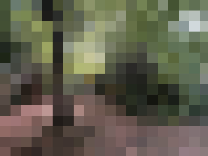  / #18