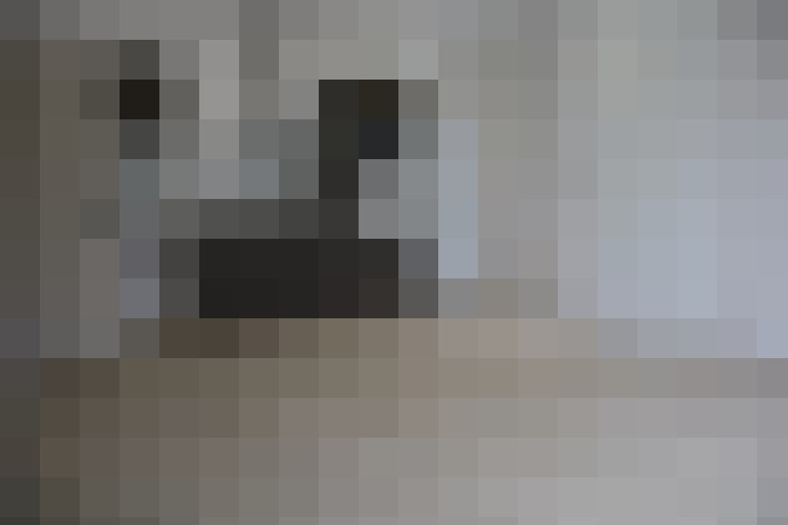  / #17