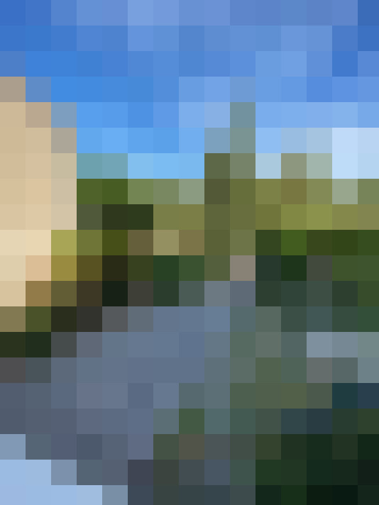  / #16