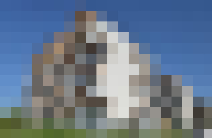  / #9