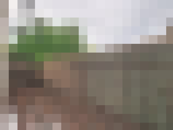  / #15