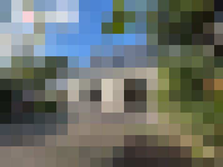  / #16
