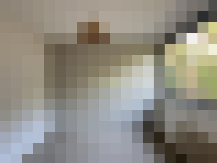  / #14