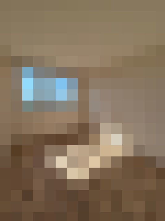  / #6