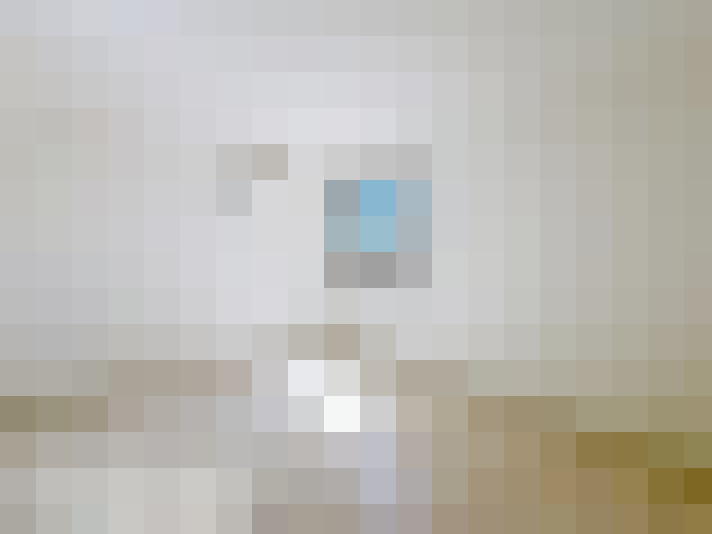  / #8