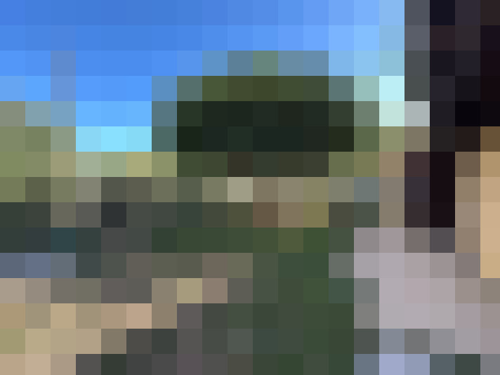  / #8