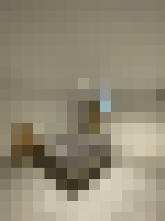  / #8