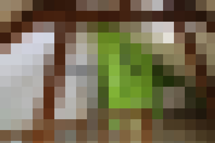  / #11