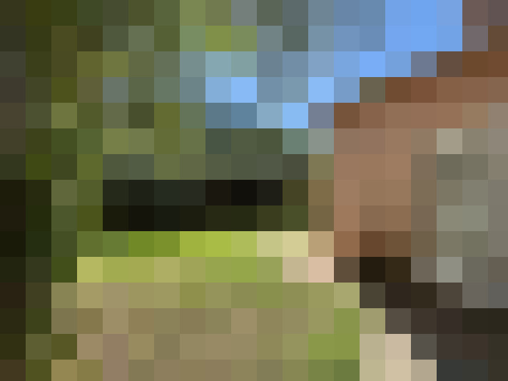  / #7