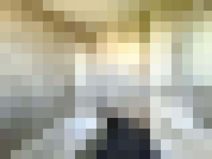  / #8