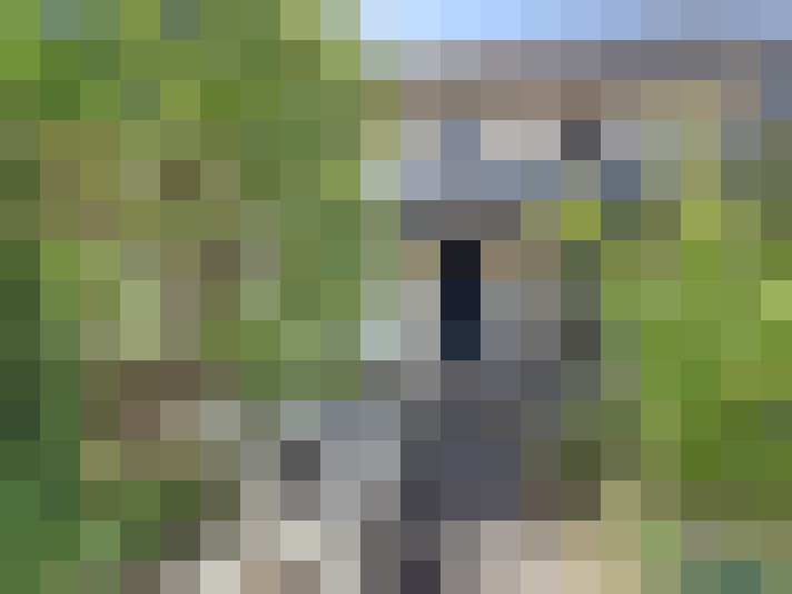  / #9