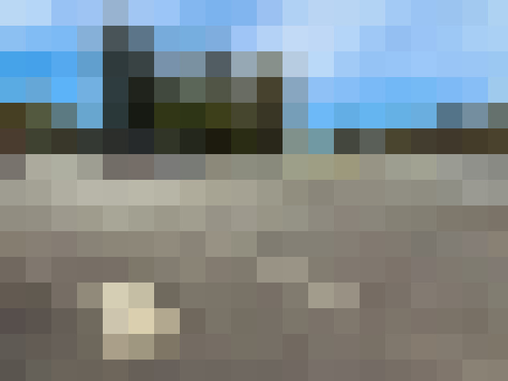  / #15