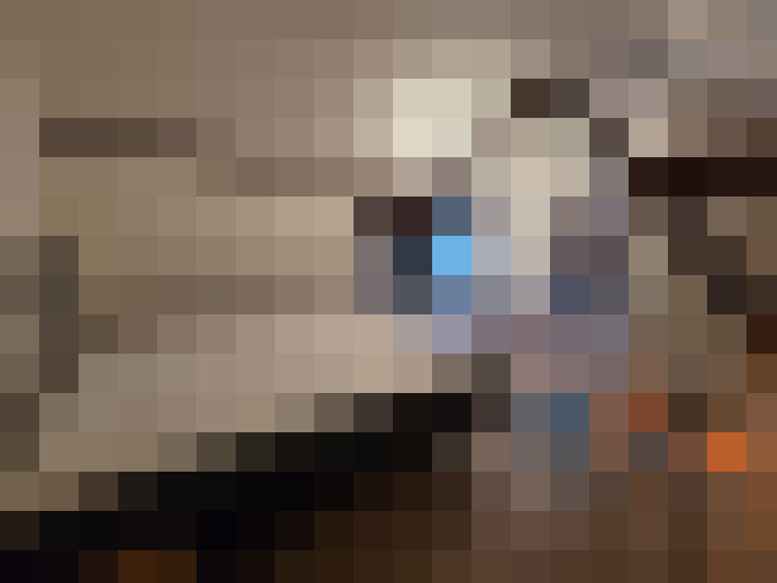  / #8