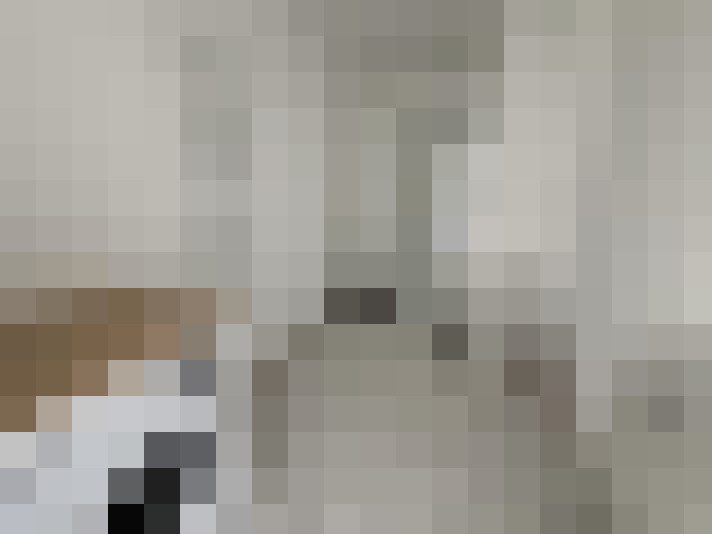  / #13