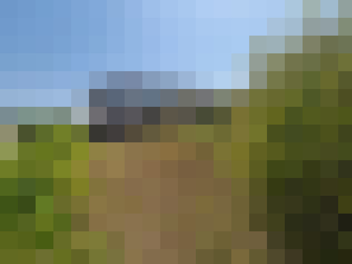  / #14