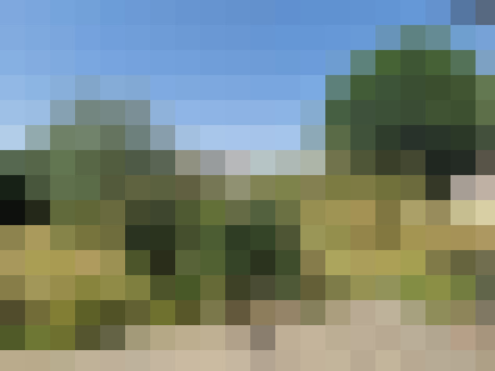  / #16