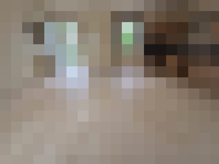  / #6