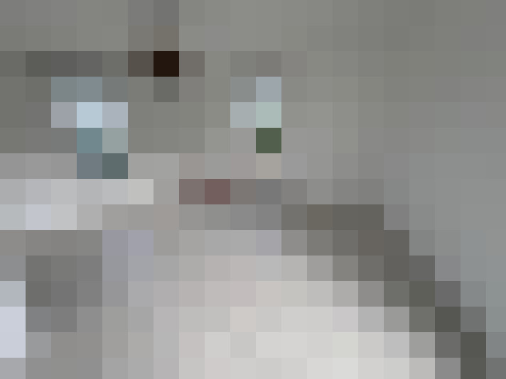  / #9