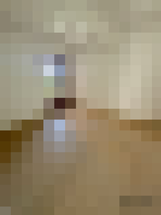  / #11