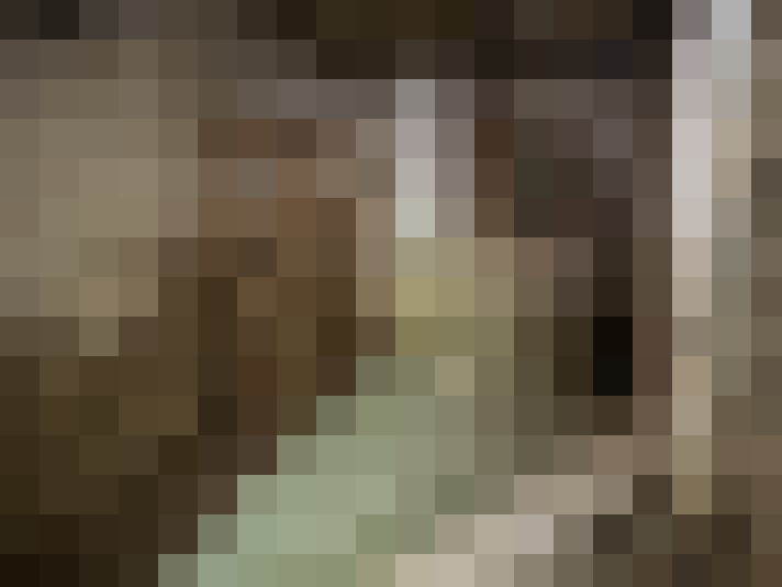  / #14