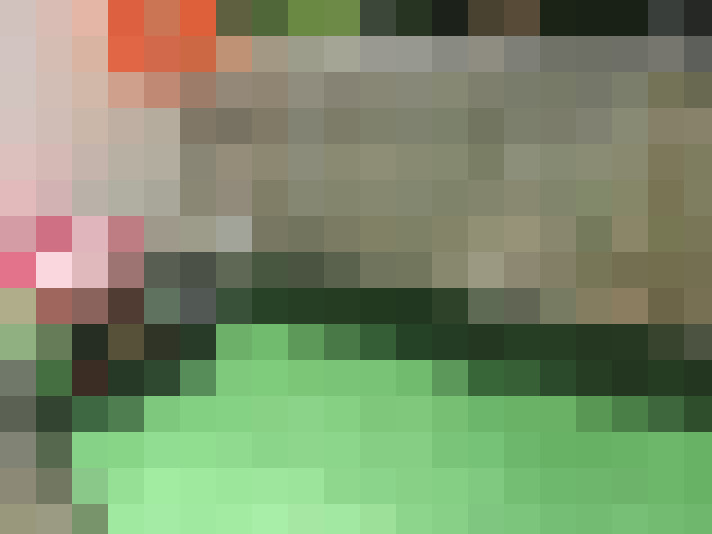  / #15