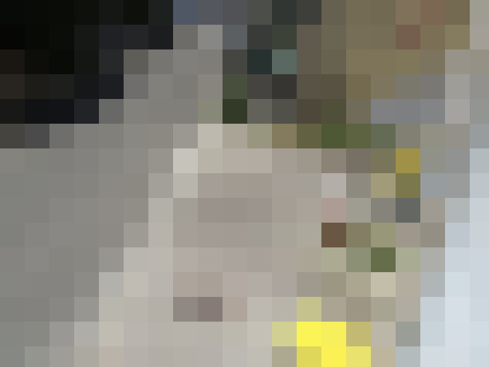  / #17