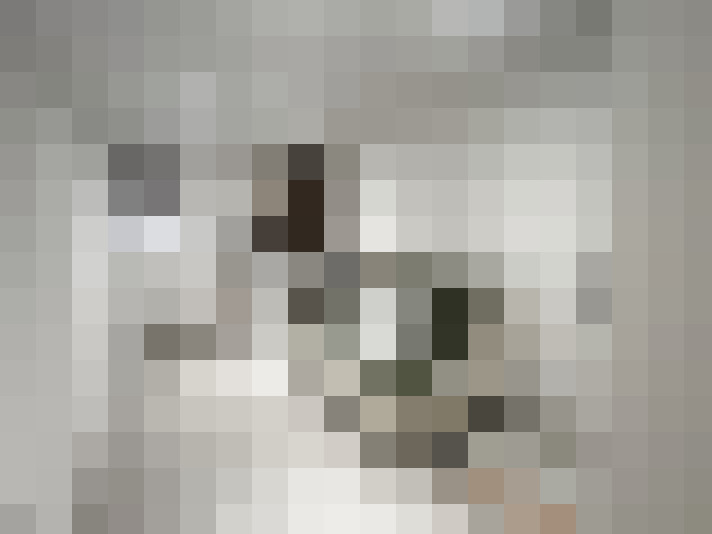  / #13