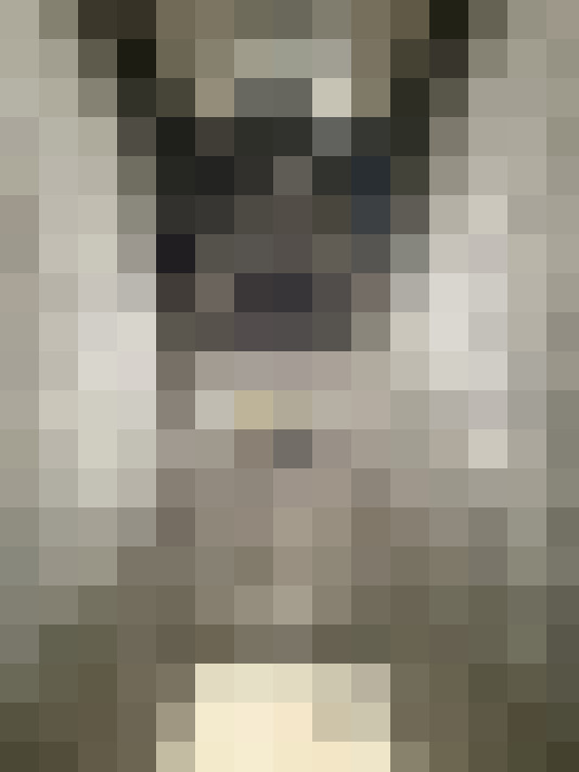  / #17