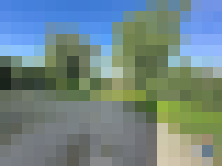  / #15