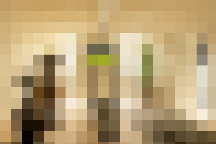  / #6