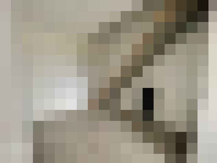  / #15
