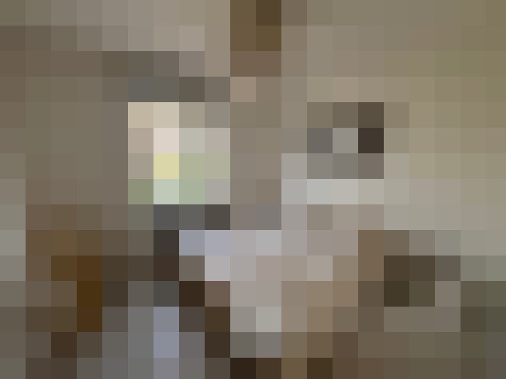  / #12