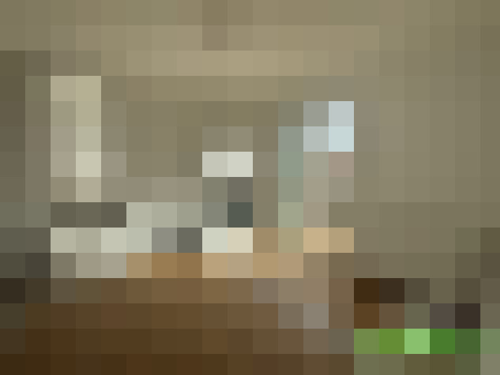  / #6