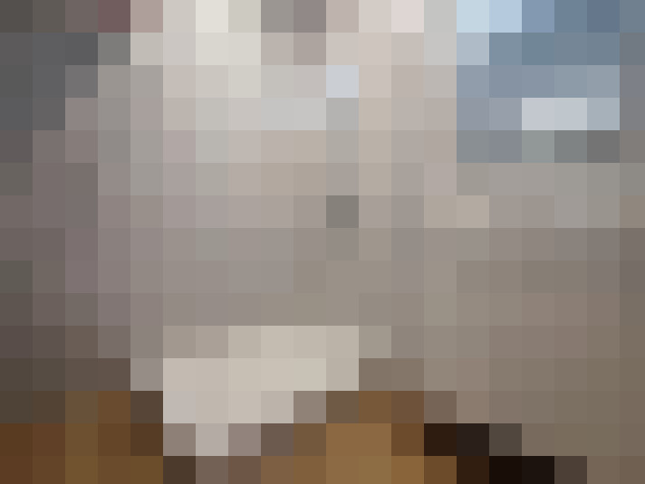  / #13