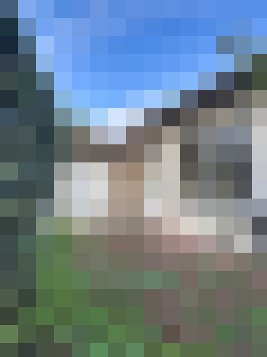  / #11