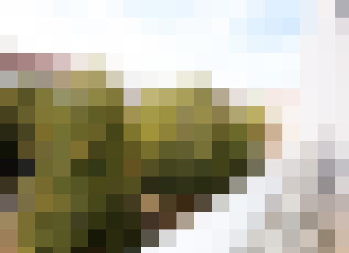  / #8