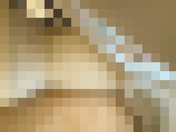  / #8