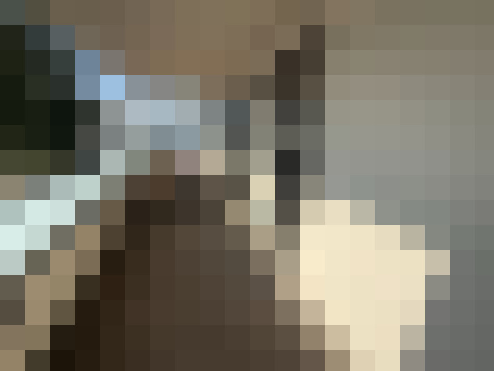 / #15
