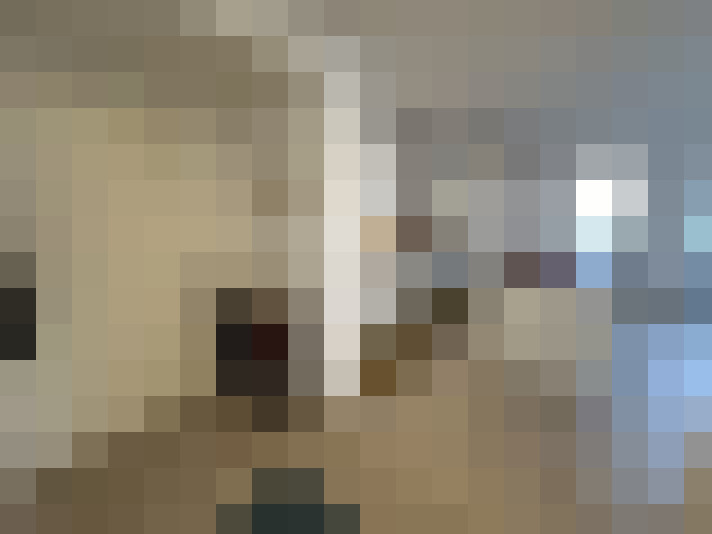  / #14
