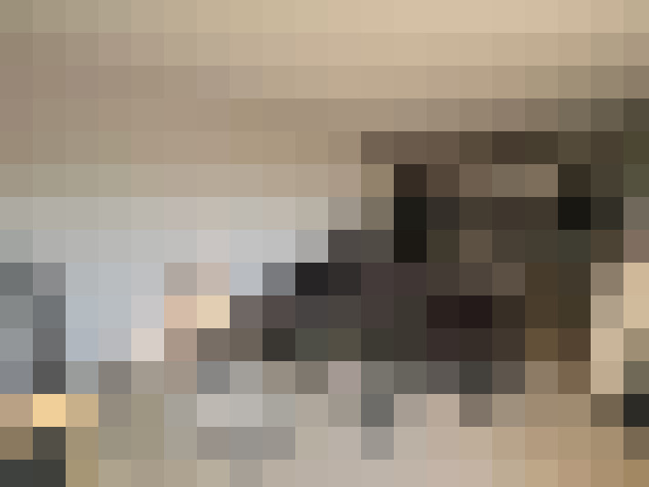  / #16