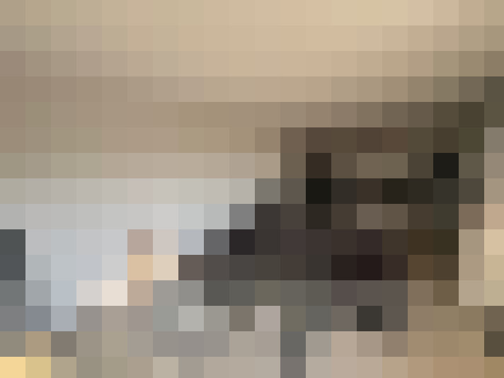 / #15