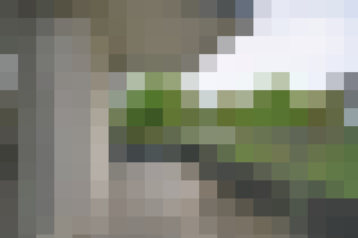  / #11