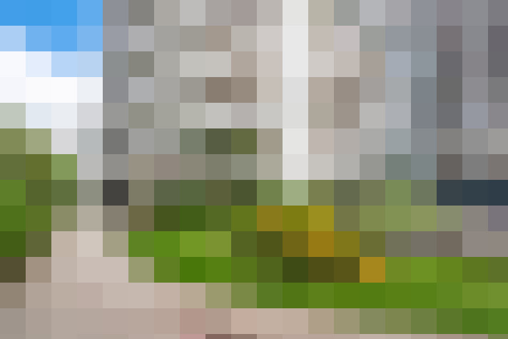  / #11