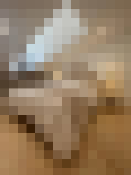  / #15