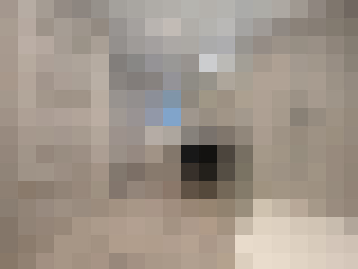  / #13