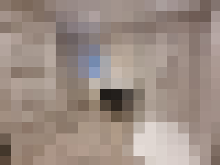  / #12