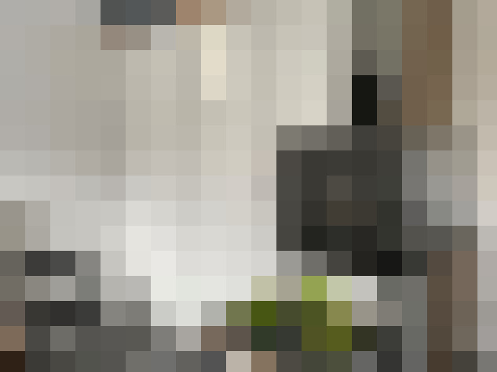  / #12