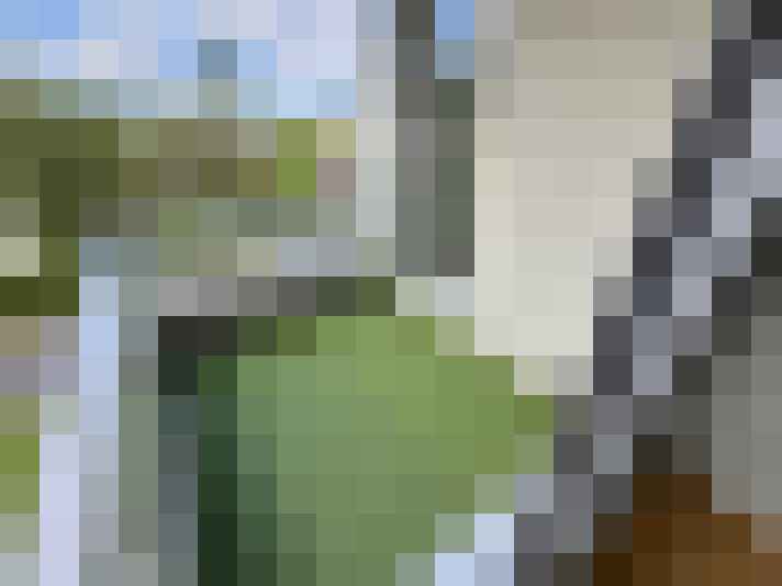  / #15